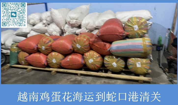 越南鸡蛋花海运到蛇口港清关.jpg