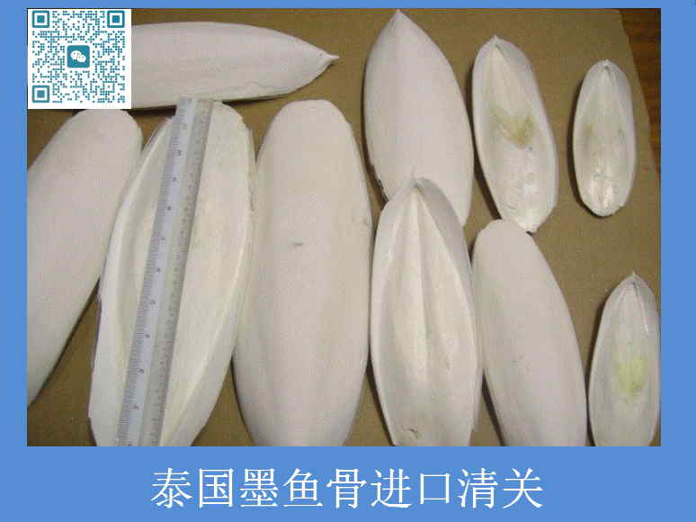 泰国墨鱼骨进口清关.jpg