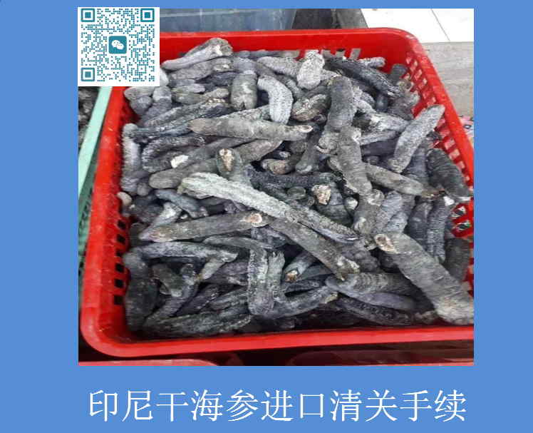 印尼干海参进口清关手续.jpg