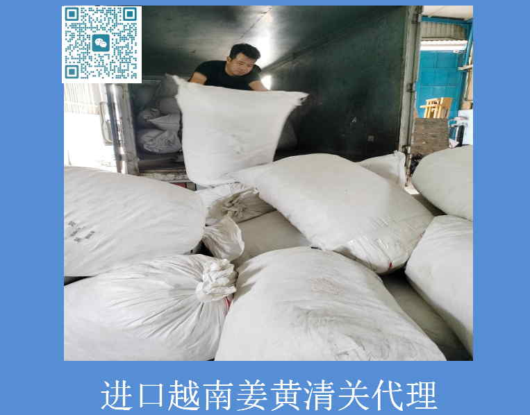 进口越南姜黄清关代理.jpg