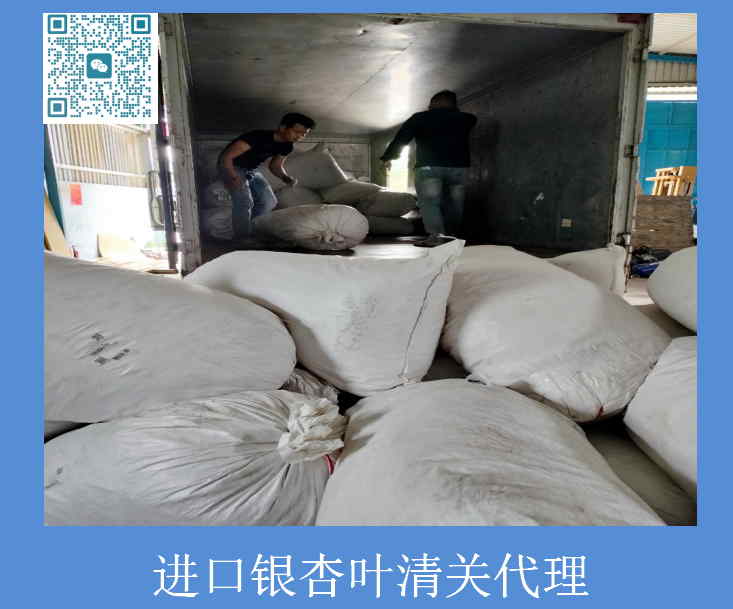 进口银杏叶清关.jpg