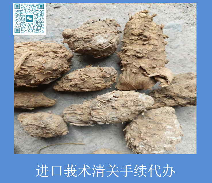 进口莪术清关.jpg
