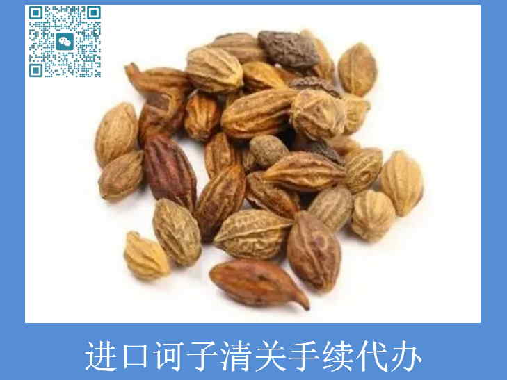 进口诃子清关.jpg