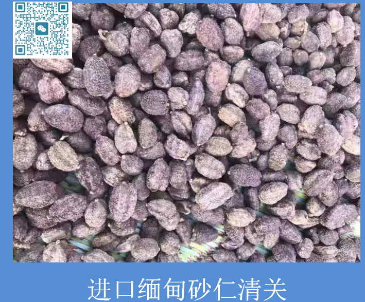 进口缅甸砂仁清关.jpg
