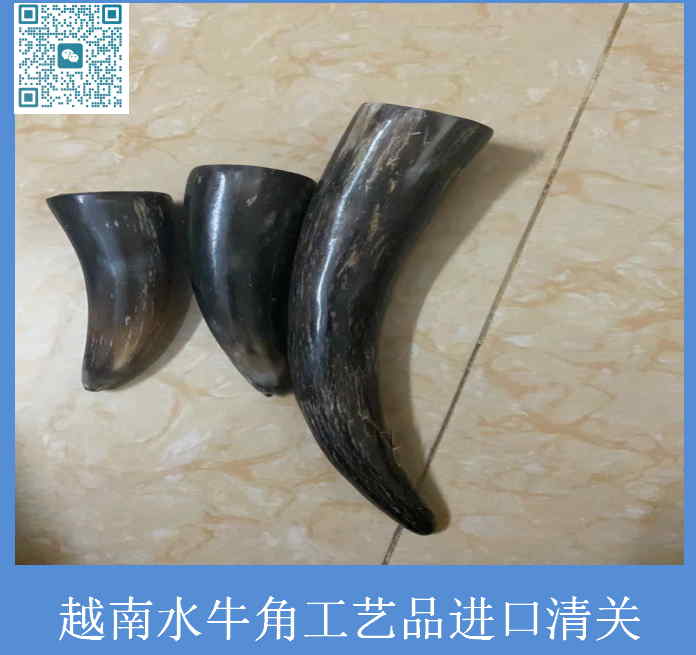 越南水牛角工艺品进口清关.jpg