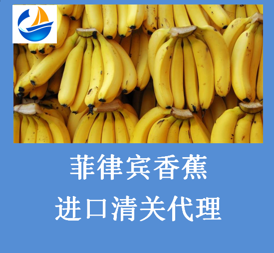 菲律宾香蕉.png