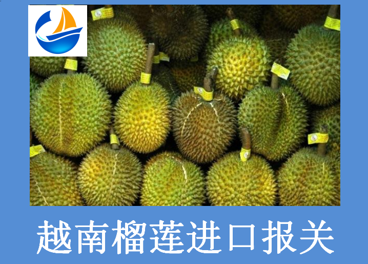 越南榴莲进口报关.png