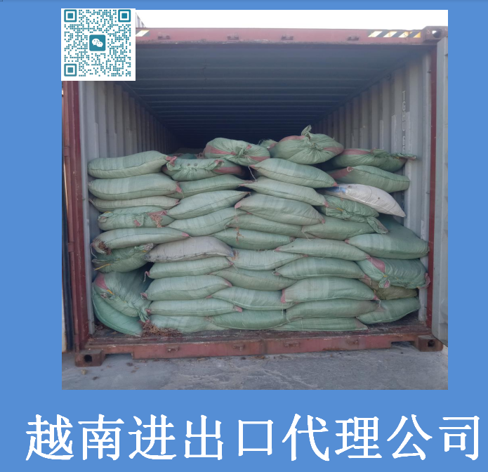 越南进出口代理公司.png