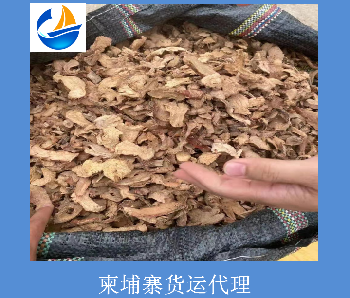 柬埔寨货运代理.png