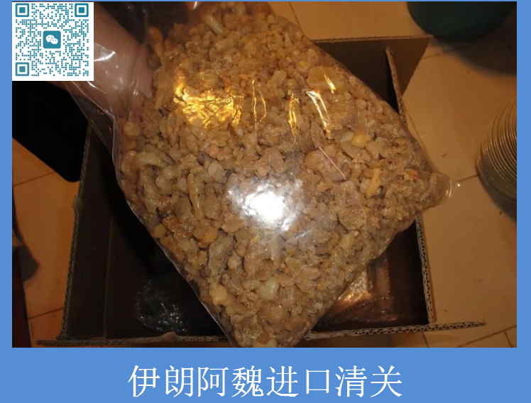 伊朗阿魏进口清关.jpg