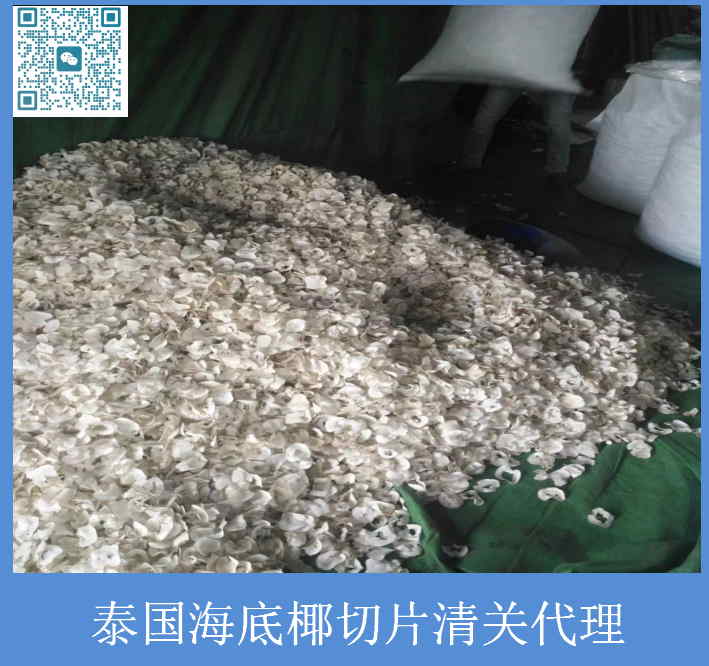 泰国海底椰切片清关代理.jpg