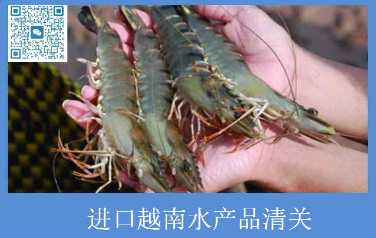 进口越南水产品清关.jpg