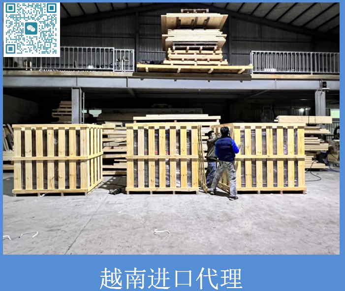 越南进口代理.jpg