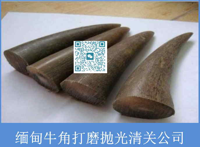 缅甸牛角清关公司.jpg