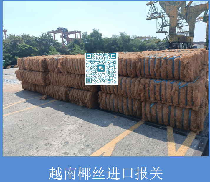 越南椰丝进口报关.jpg