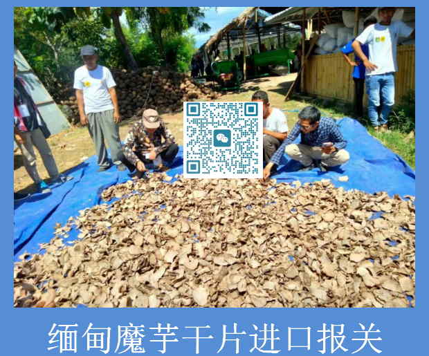 缅甸魔芋干片进口报关.jpg