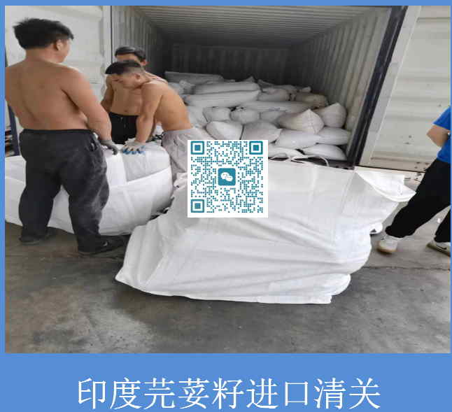 芫荽籽进口清关.jpg