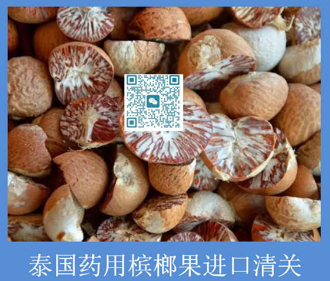 泰国药用槟榔果进口清关.jpg