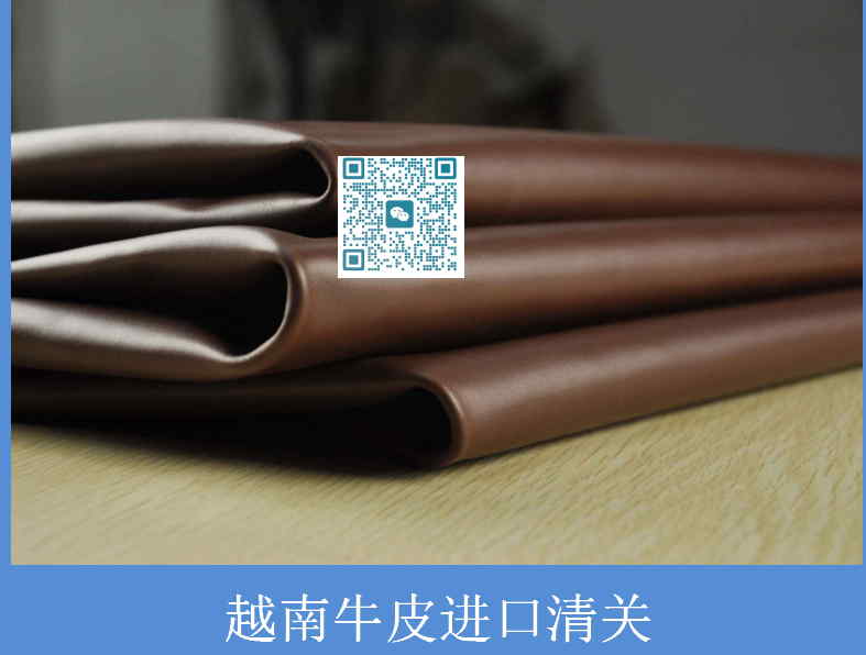 越南牛皮进口清关.jpg