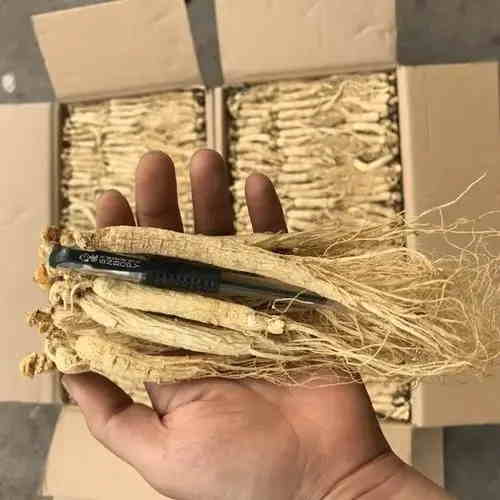 西洋参进口清关.jpg